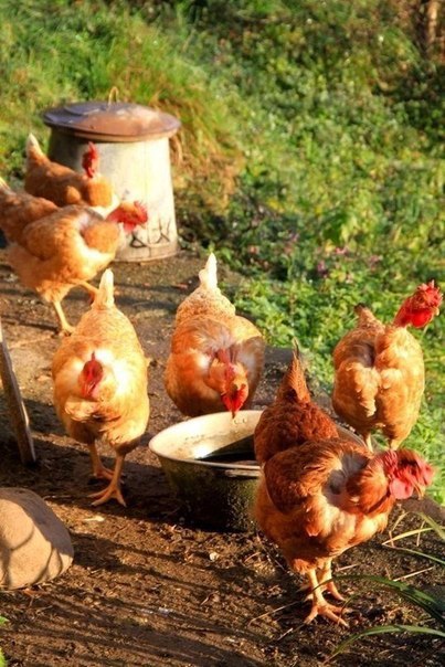 Интересные и веселые картинки