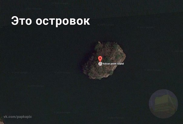 Подборка прикольных фото