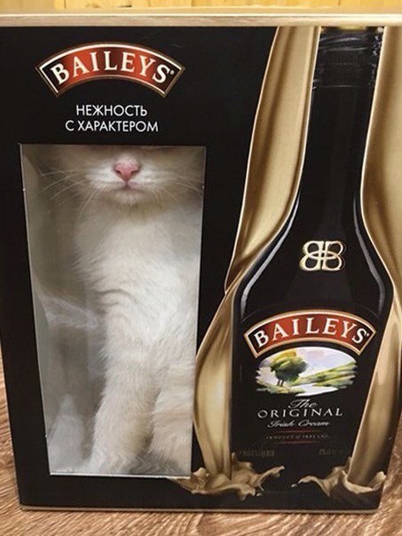 Немного картинок
