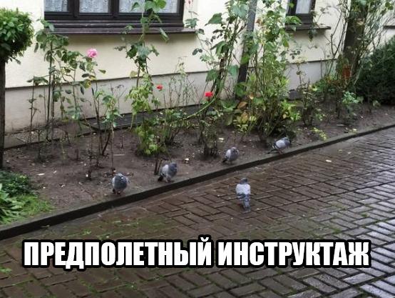 Небольшая подборка разного из сети.