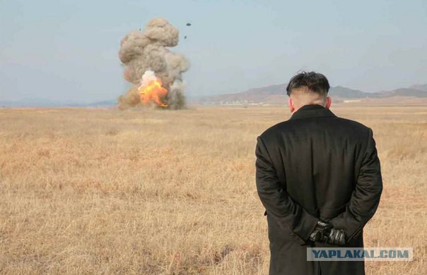 Неопровержимые доказательства, что во всем виноват Путин.