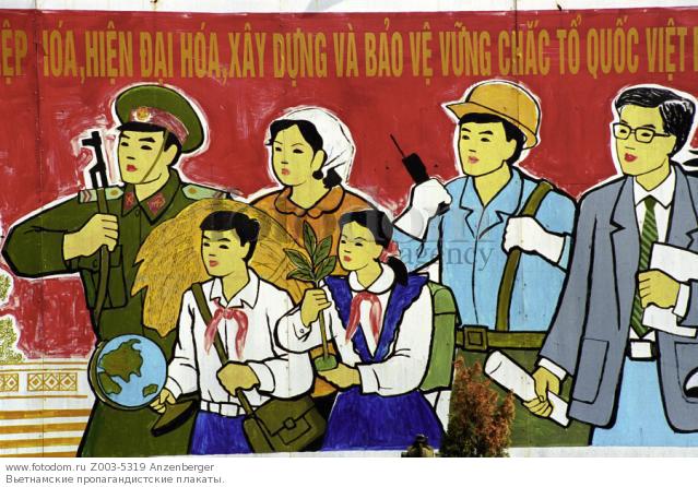 Кроты против крыс: как американцы проиграли вьетнамскую войну