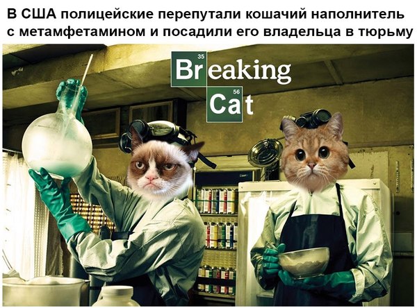 Подборка интересных и веселых картинок