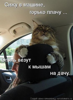 Просто картинки с сети