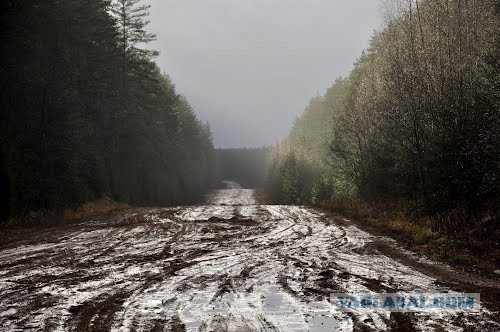 Самая федеральная трасса. На участке дороги между Петербургом и Карелией застряли в грязи 30 машин