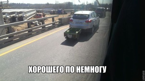 Смешные картинки