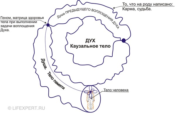 4 стадии смерти