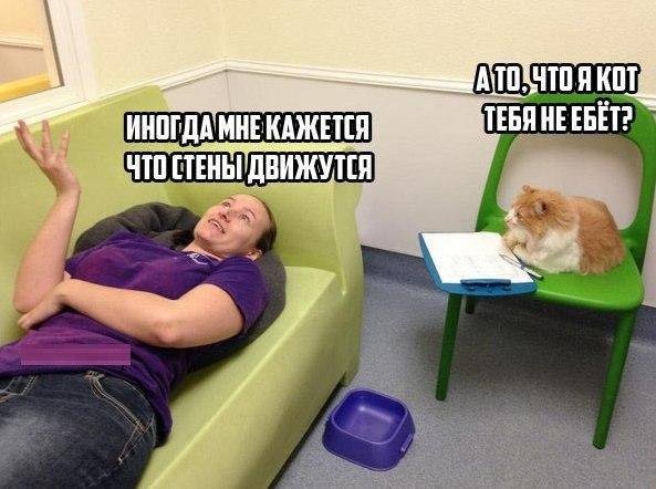 Приколы в стиле "регресс"