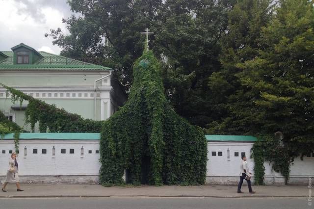 Подборка интересных и веселых картинок