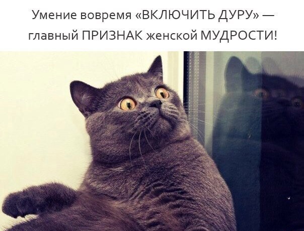 Немного разных картинок