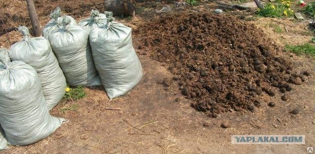 Криптовалюты продолжают рекордное падение вслед за биткоином