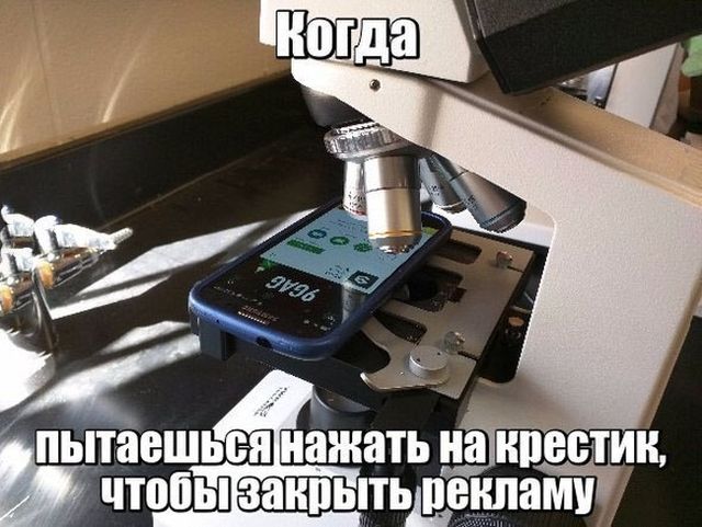 Нестандартный юмор