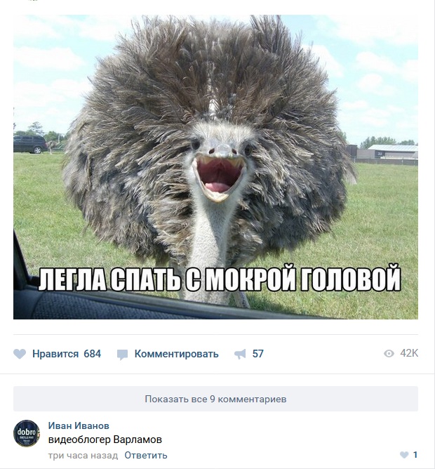 Смешные комментарии из социальных сетей 11.05.2018