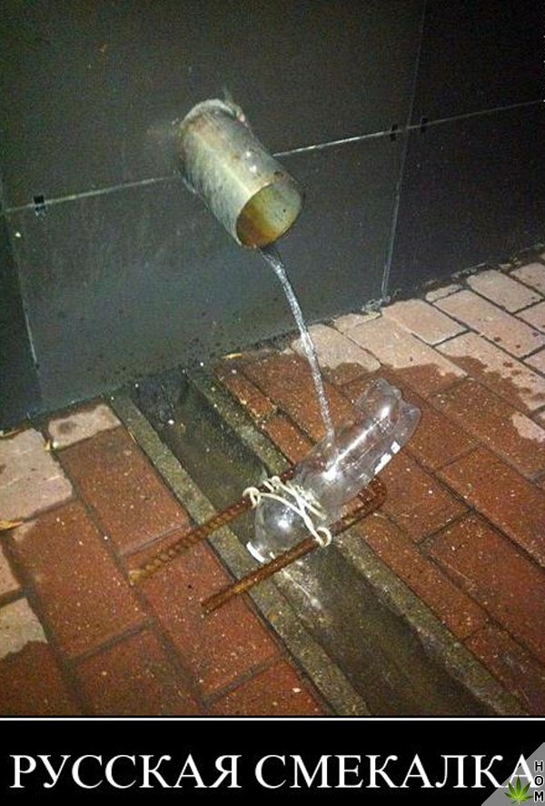 Прикольные картинки обо всём