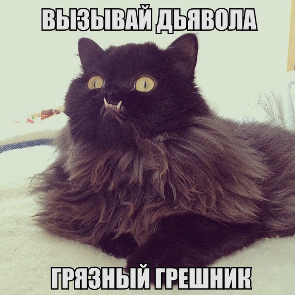 Прикольные картинки абавсём
