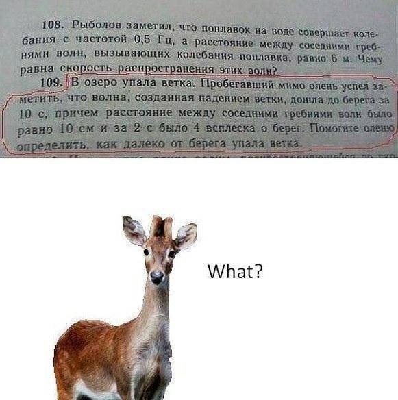 Странный юмор