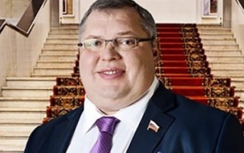 Поклонскую лишили поста главы думской комиссии по доходам