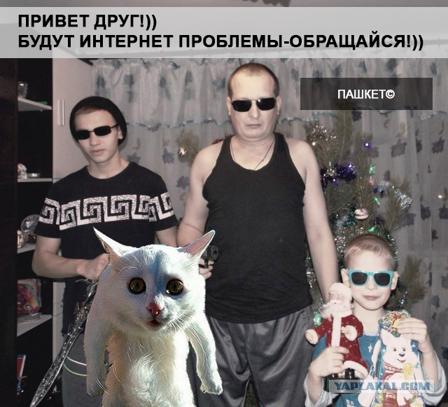Пашкет, демотиваторы и мемы