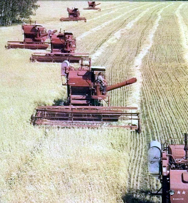 Ностальжи фотопост