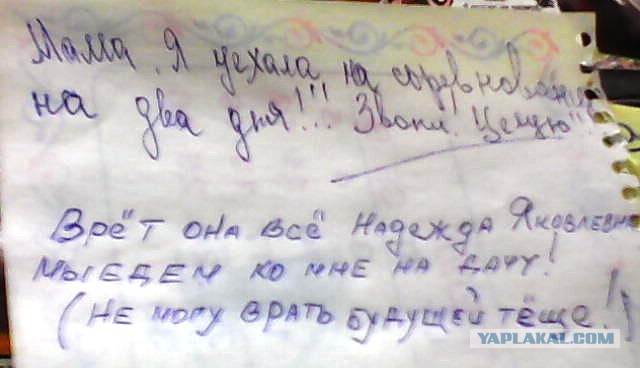 Прикольные комментарии и высказывания из Сети 24.10.2018