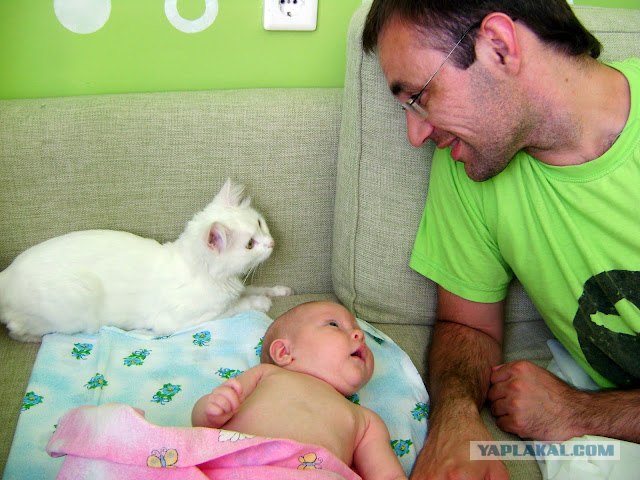 Котовторник 20.03.2012