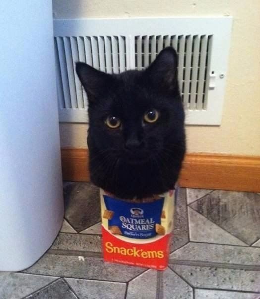 Немного милоты