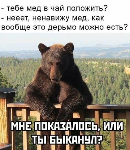 Картинки с надписями, истории и анекдоты