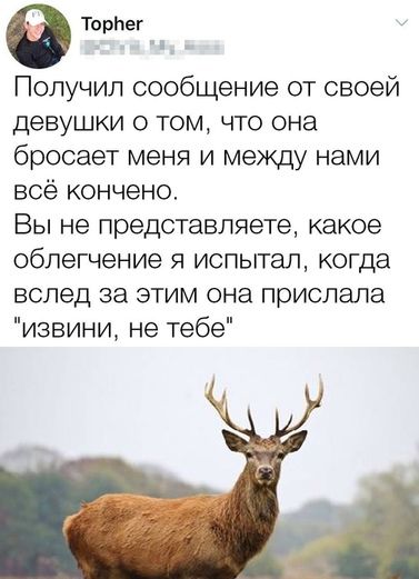 Я отстаю от жизни
