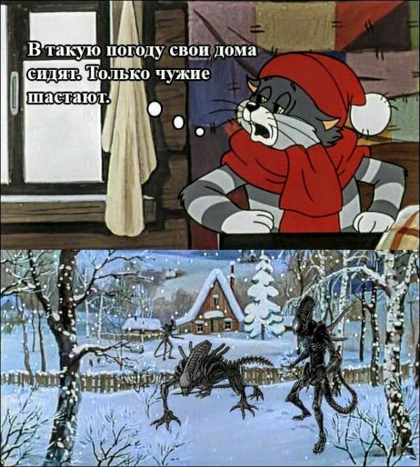 Просто 45 фоток