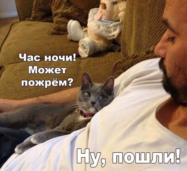 Немного картинок для настроения 11.02.20