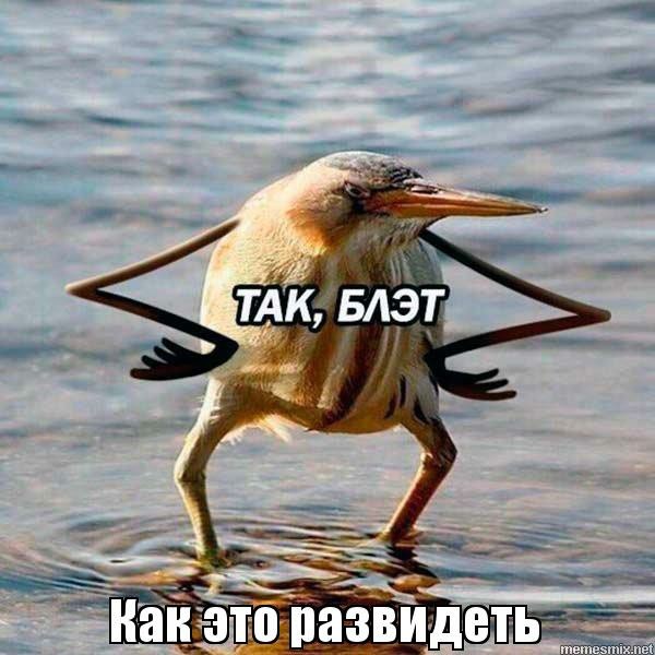 Девушка, у вас задница перевернулась
