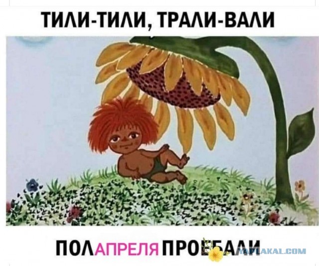 Бредзона 13.04.2020