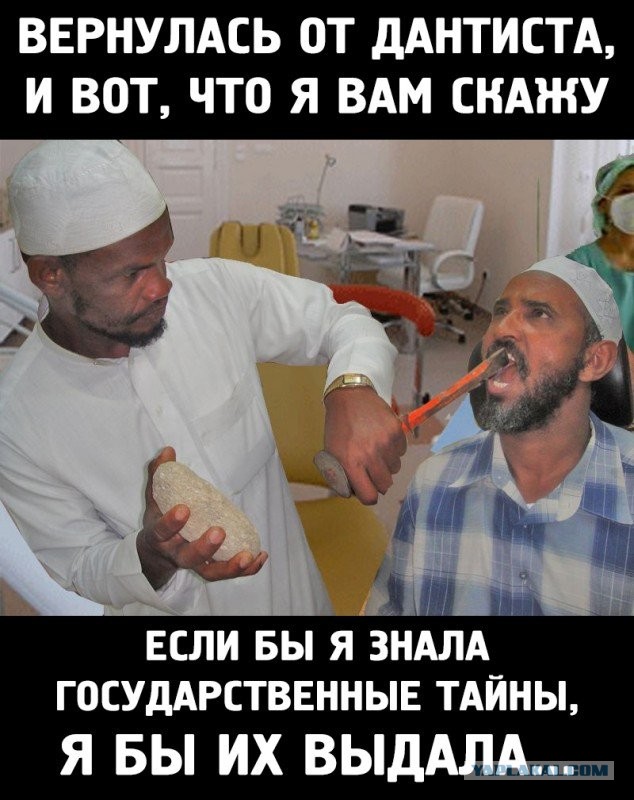 14256536.jpg
