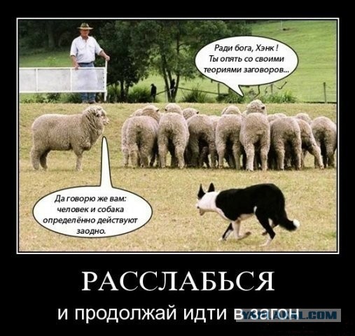 Тем Кто не верит во всемирный заговор.