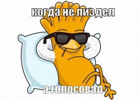 Голосуй или…
