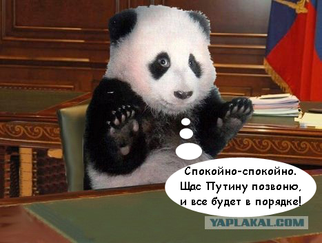 На ЯПе завис