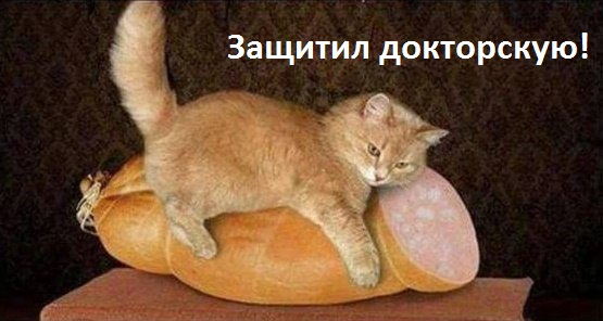 Немного мемов