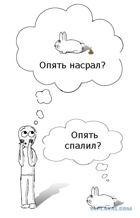 Фотожаба: Я и зайка