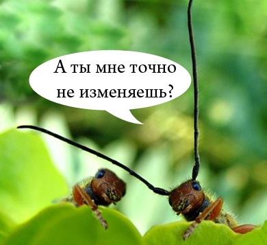 Букашка