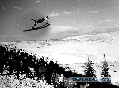 Фотожаба: Полет Барсика