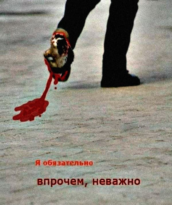 Чернушка 26.12.20