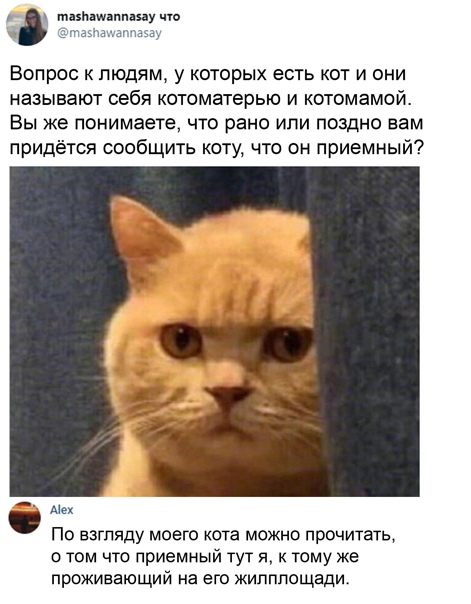 Картинки с надписями и всякие жизненные фразы 7.01.2021