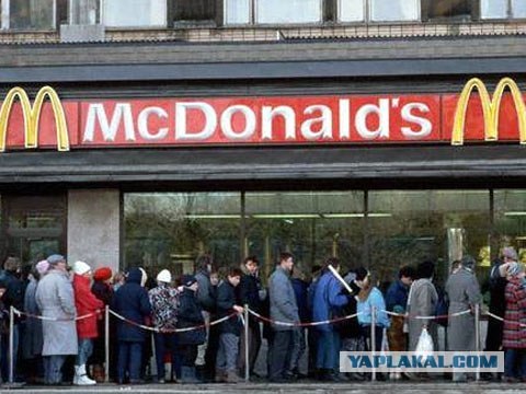Как убирать собачьи какашки