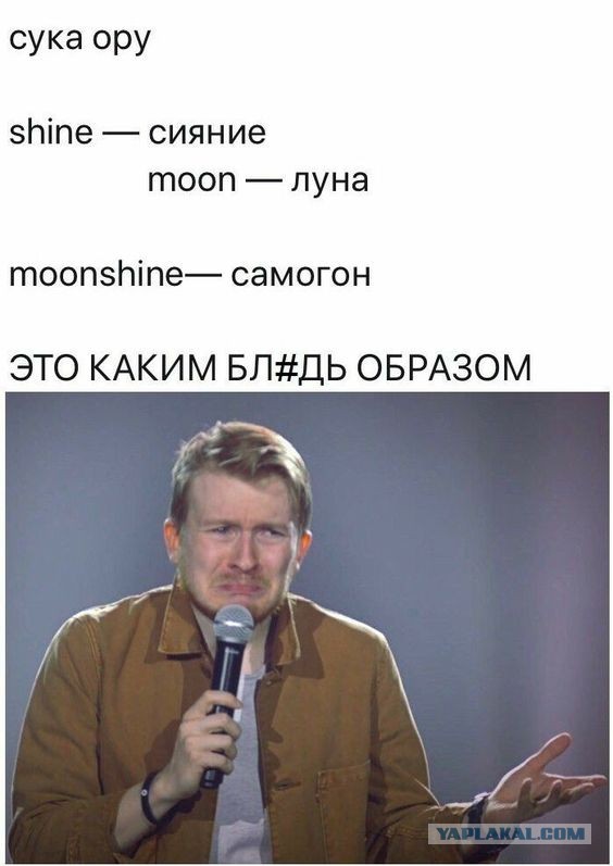 Фотки и картинки: юморные и красивые, забавные и милые 20.04.21
