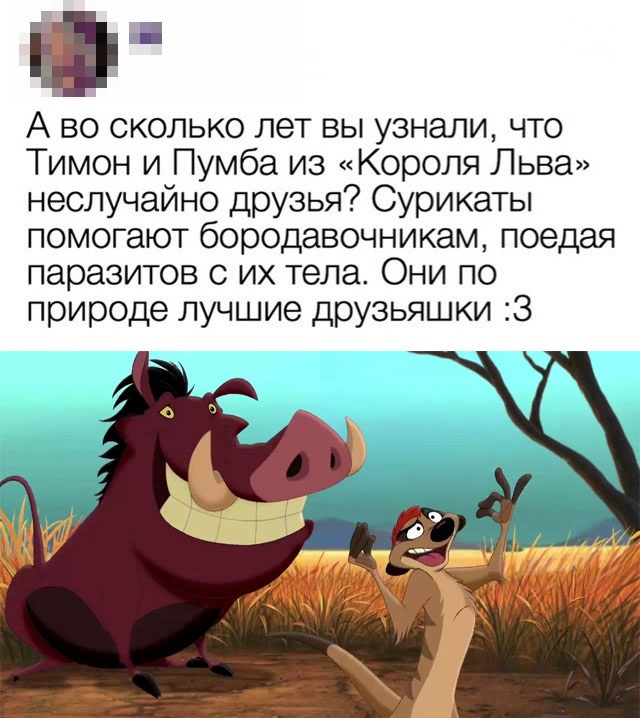 Весёлый полтишок 4.05