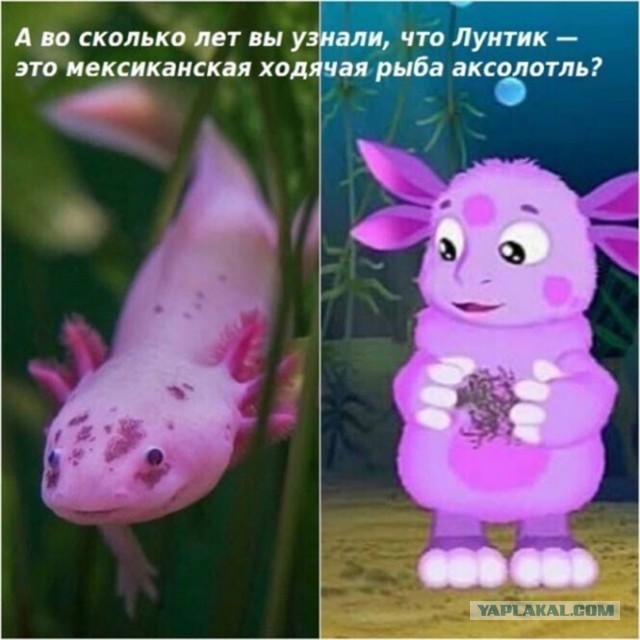 Картинки и мемы для настроения 07.05.21