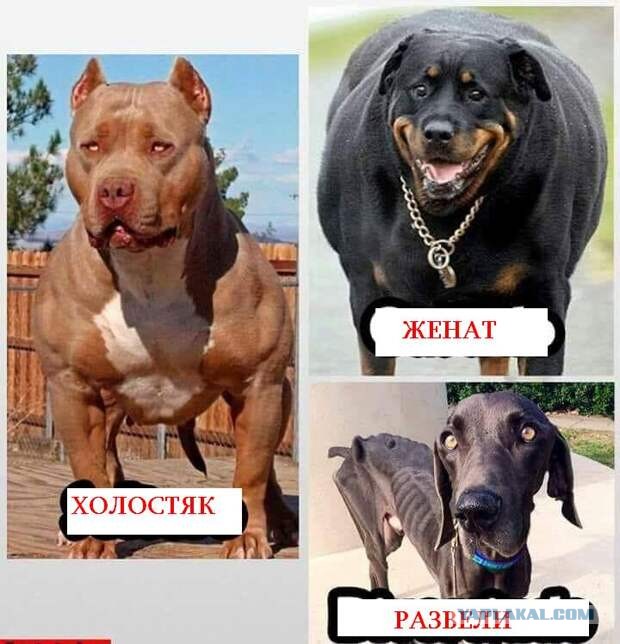Встреча выпускников