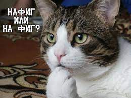 Пандемия. Коронавирус. Россия и мир. Последняя информация. Часть 25