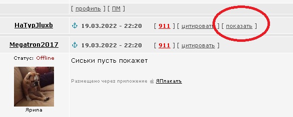 Латвия встречает украинских "беженцев"
