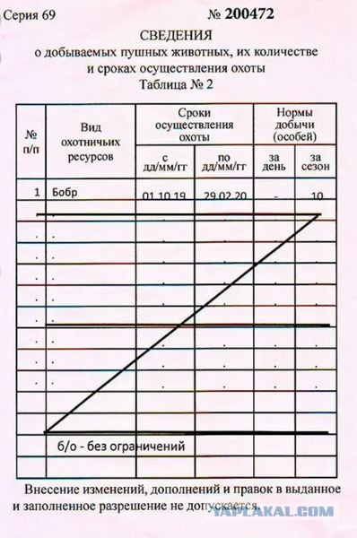 Ничего необычного, просто бобёр осматривает место под строительство плотины в парке Яуза